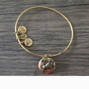 10 Alex And Ani Bracelets